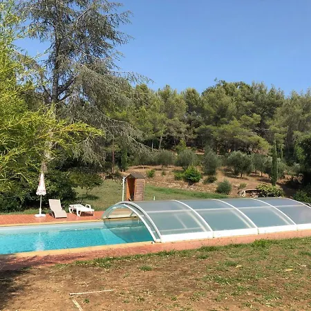 L'oliveraie *