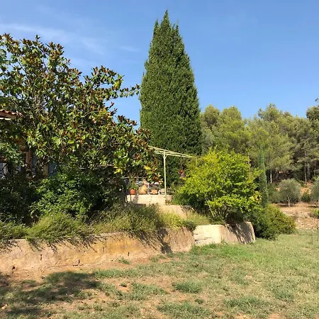 L'oliveraie